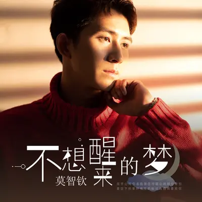 不想醒来的梦封面