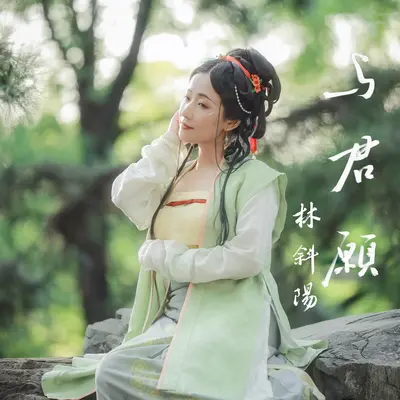 与君愿（伴奏）封面