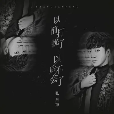 以前打扰了 以后不会了 (DJ版伴奏)封面