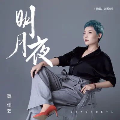 明月夜 - 魏佳艺封面