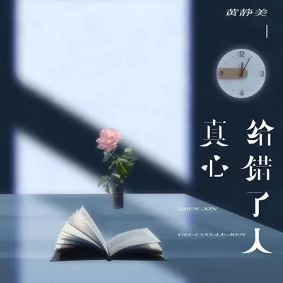 真心给错了人封面