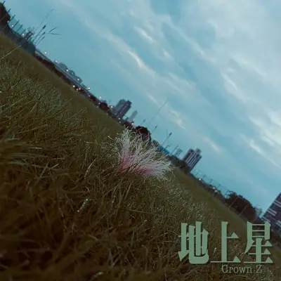 降落 - Crown Z封面