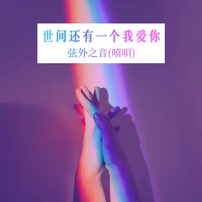 世间还有一个我爱你封面