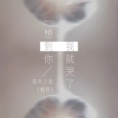 一想到你我就哭了 - 弦外之音封面