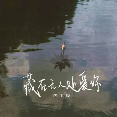 藏在无人处爱你 - 沈小晔封面