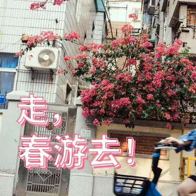 Ri Chu Cai Hong封面