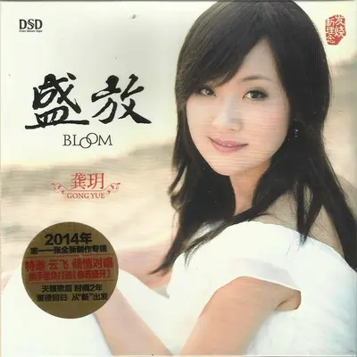 游子吟 - 龚玥封面