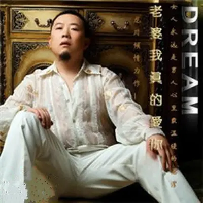 老婆我真的爱你封面