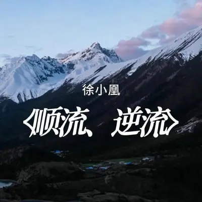 顺流、逆流（特别版） - 徐小凤封面