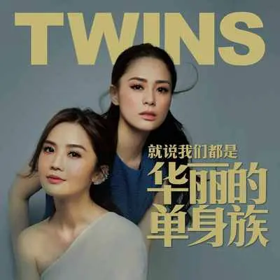 就说我们都是华丽的单身族 (Twins 向你解说)封面