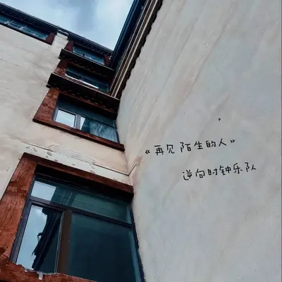 再见 陌生的人封面