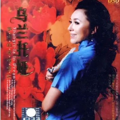 我从草原来封面