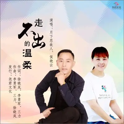 走不出的温柔 - 侯艳云封面