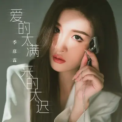 爱的太满来的太迟封面