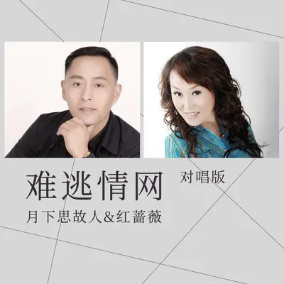 难逃情网(对唱版)(对唱版)封面