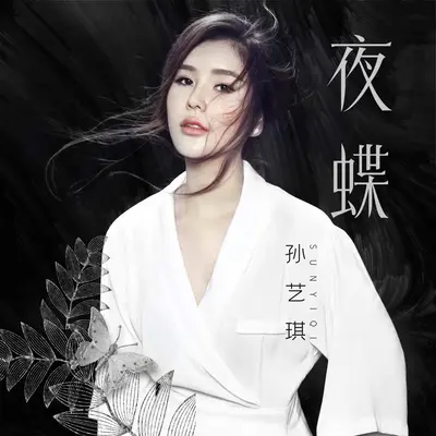 夜蝶(DJ何鹏版)(DJ何鹏版) - 孙艺琪封面