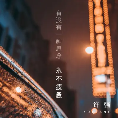 有没有一种思念永不疲惫封面