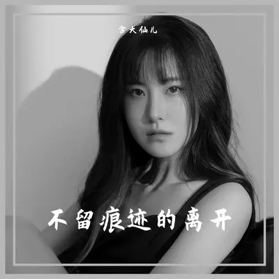不留痕迹的离开封面