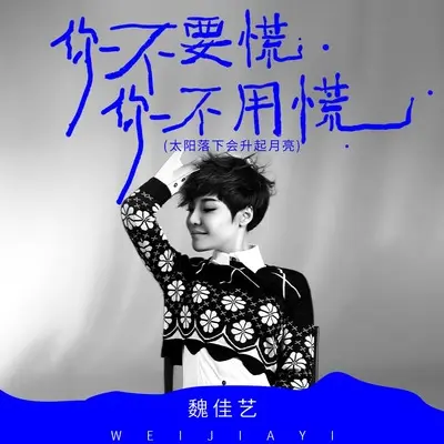你不要慌你不用慌(太阳落下会升起月亮）(live版)(live版) - 魏佳艺封面