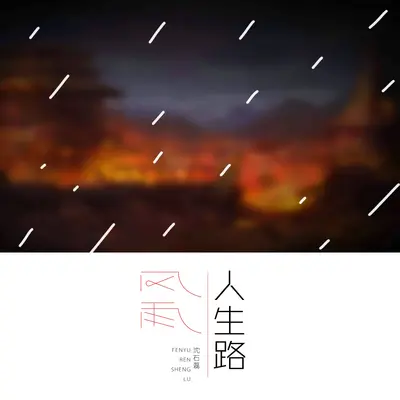 风雨人生路封面