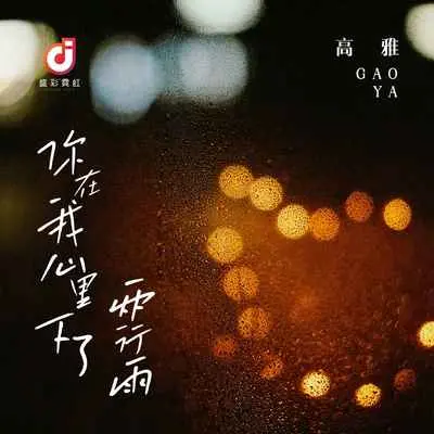 你在我心里下了两行雨(DJ版)(DJ版)封面