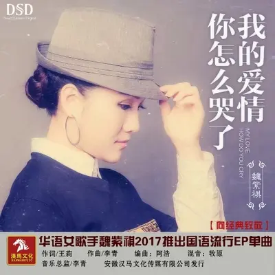 我的爱情你怎么哭了封面
