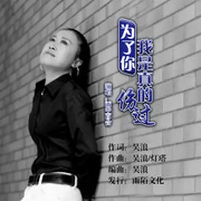 为了你我是真的伤过封面