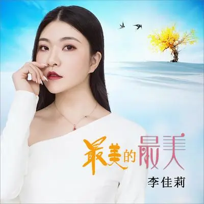 最美的最美（DJ何鹏版伴奏）封面