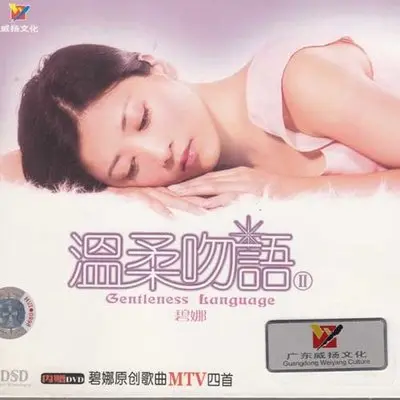 隐形的翅膀封面
