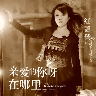 亲爱的你呀在哪里(DJ何鹏版)(DJ何鹏版) - 红蔷薇封面