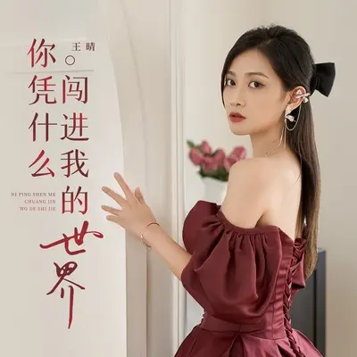 你凭什么闯进我的世界封面