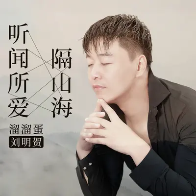 听闻所爱隔山海封面