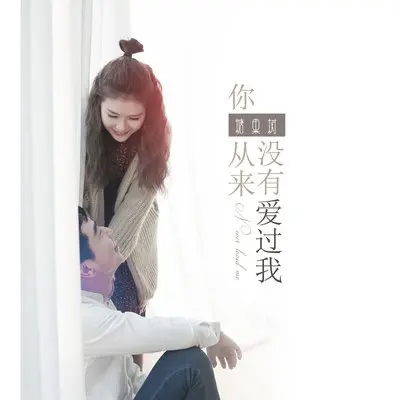 你从来没有爱过我封面