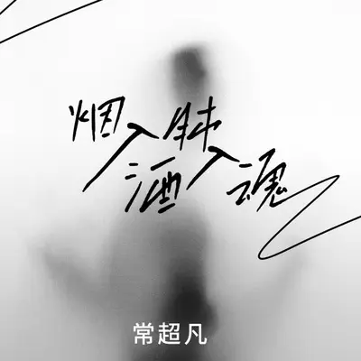 烟入肺酒入魂封面