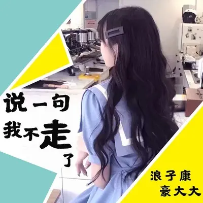 说一句我不走了(DJ咚鼓版)(DJ咚鼓版) - 浪子康 / 豪大大封面