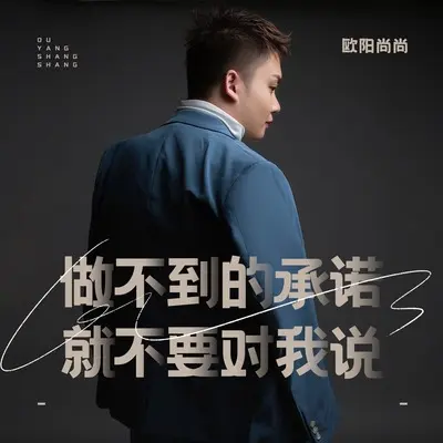 做不到的承诺就不要对我说(DJ默涵版)(DJ默涵版)封面