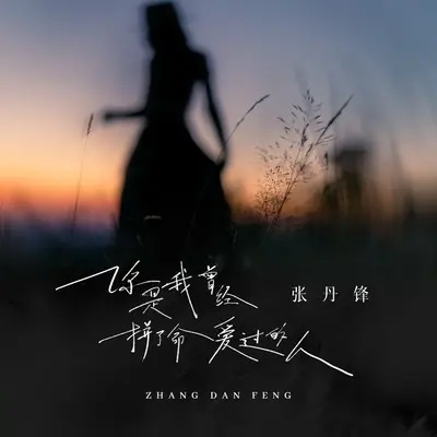 你是我曾经拼了命爱过的人封面