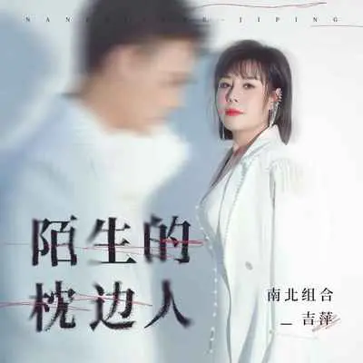 陌生的枕边人(DJ默涵版)(DJ默涵版)封面