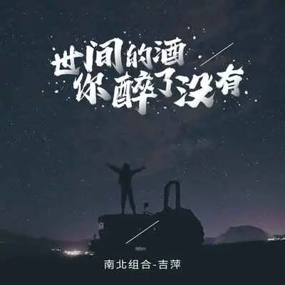 世间的酒你醉了没有(DJ默涵版)(DJ默涵版)封面
