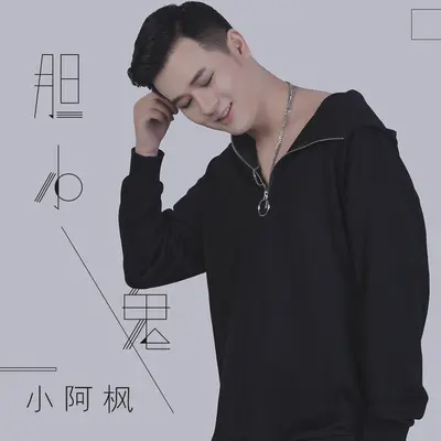 胆小鬼(DJ辉总版)(DJ辉总版)封面