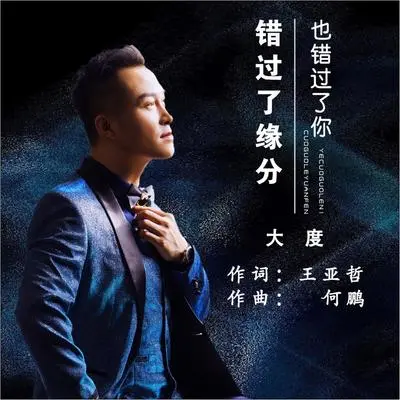 错过了缘分也错过了你（(DJ何鹏版)(伴奏)）封面