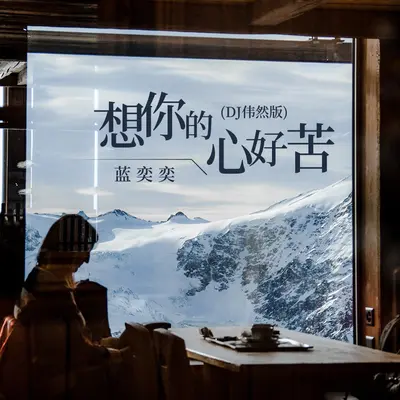 想你的心好苦(DJ伟然版)(DJ伟然版)封面