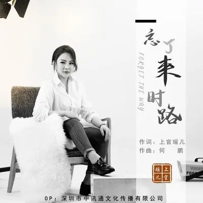 忘了来时路（DJ何鹏版伴奏）封面