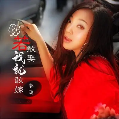 你若敢娶我就敢嫁（DJ何鹏版伴奏）封面