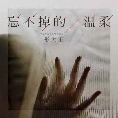 忘不掉的温柔 - 彤大王封面