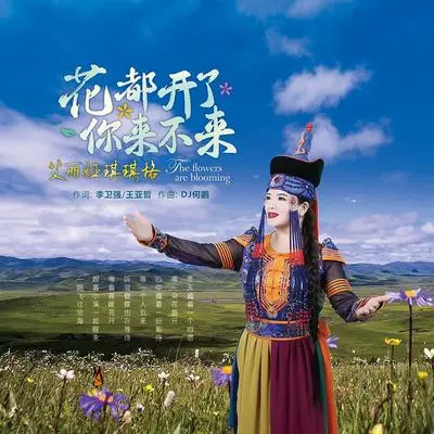 花都开了你来不来（伴奏）封面