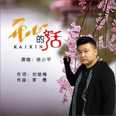 开心的活（DJ何鹏版伴奏）封面
