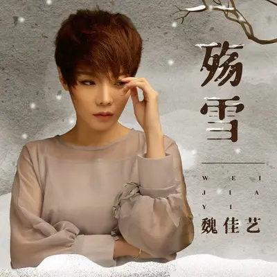 殇雪(DJ默涵版)(DJ默涵版)封面