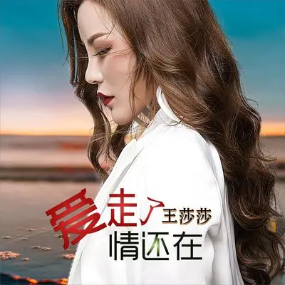 爱走了情还在（(DJ何鹏版)(伴奏)）封面