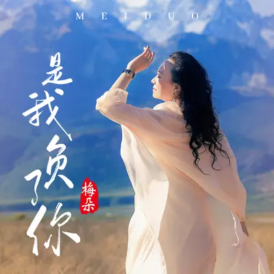 是我负了你封面